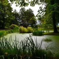 Etang des Fossés