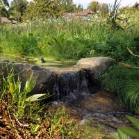 Ruisseau du Nant de Leyaz