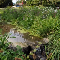 Ruisseau du Nant de Leyaz