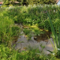 Ruisseau du Nant de Leyaz