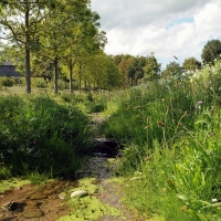 Ruisseau du Nant de Leyaz