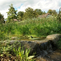 Ruisseau du Nant de Leyaz