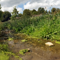 Ruisseau du Nant de Leyaz