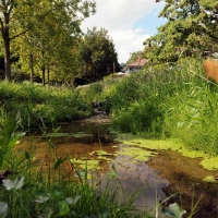 Ruisseau du Nant de Leyaz