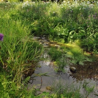 Ruisseau du Nant de Leyaz