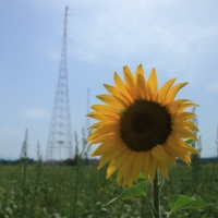 Emetteurs de signaux horaire HBG