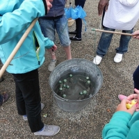 Fête au village 2012