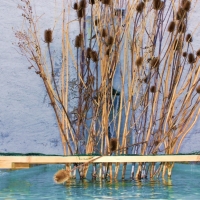 Fontaines décorées 2014