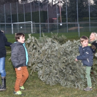 Brule_sapins_Prangins_7_1_2015_3281.jpg