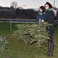 Brule_sapins_Prangins_7_1_2015_3296.jpg