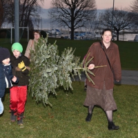 Brule_sapins_Prangins_7_1_2015_3306.jpg