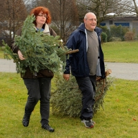 Prangins-Sapins6.jpg