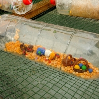 Rue de la Gare (Collège La Combe - Les Places)